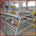 Trade Assurance China Factory Aves de corral Chick Egg Cage